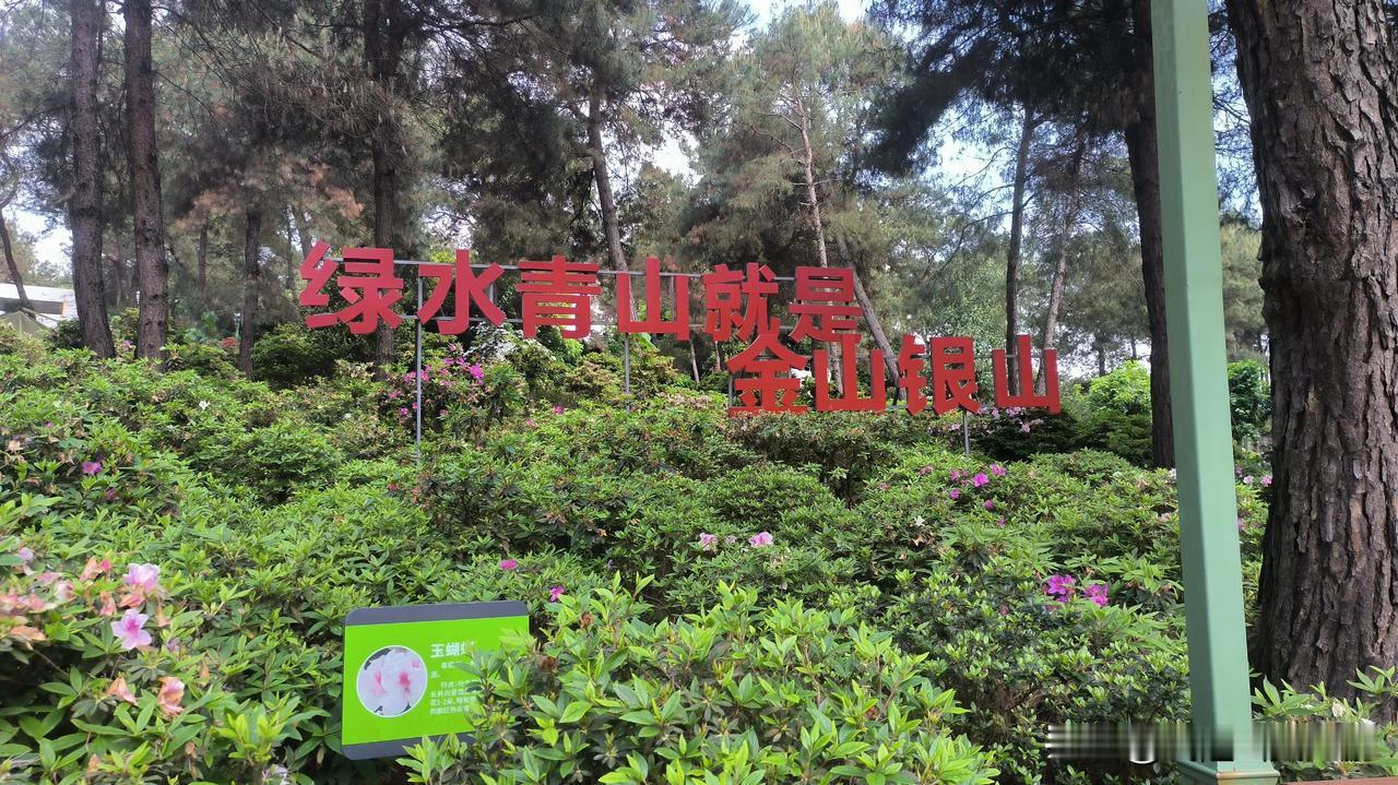 重庆不仅仅是洪崖洞，轻轨穿楼，静下来可以去爬爬山，看看沿途风景，赏赏花呼吸新鲜空