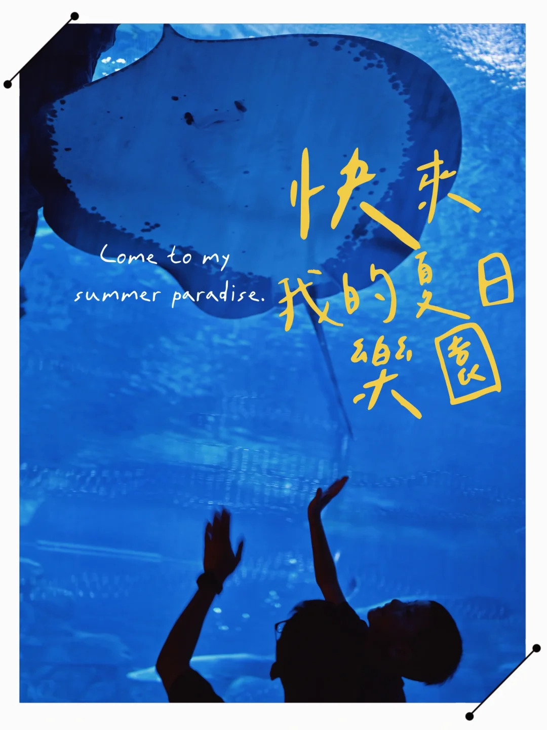 沉浸式海洋体验🚀长隆飞船乐园暑假遛娃宝典