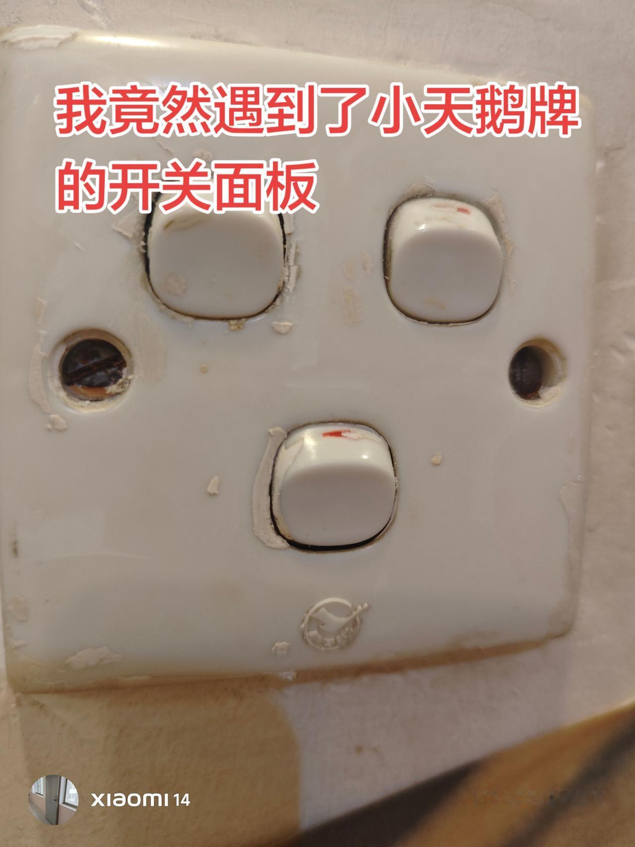 大家还有见过什么别的感觉奇怪的东西吗？小天鹅