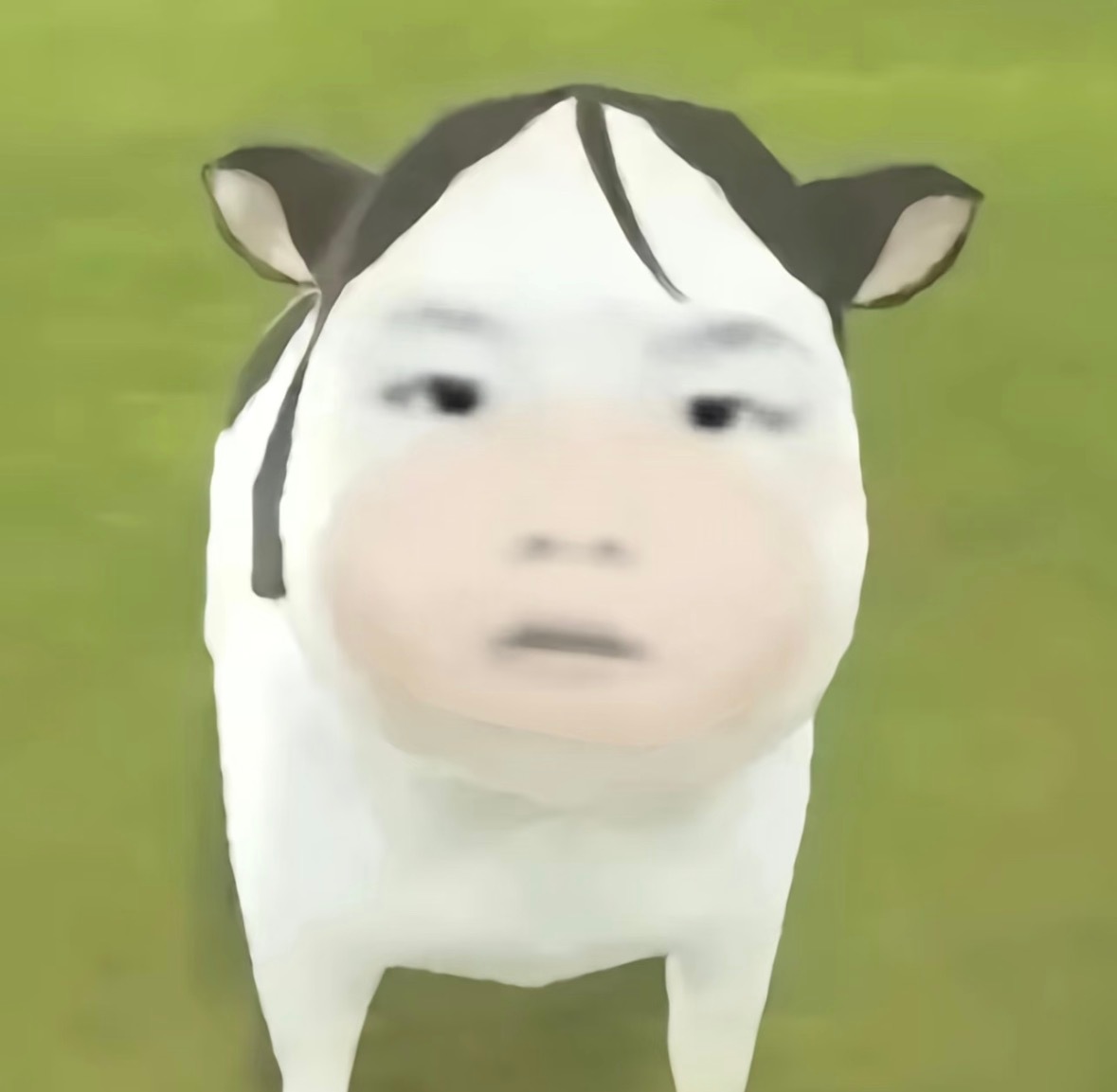 想念一只苏新皓 