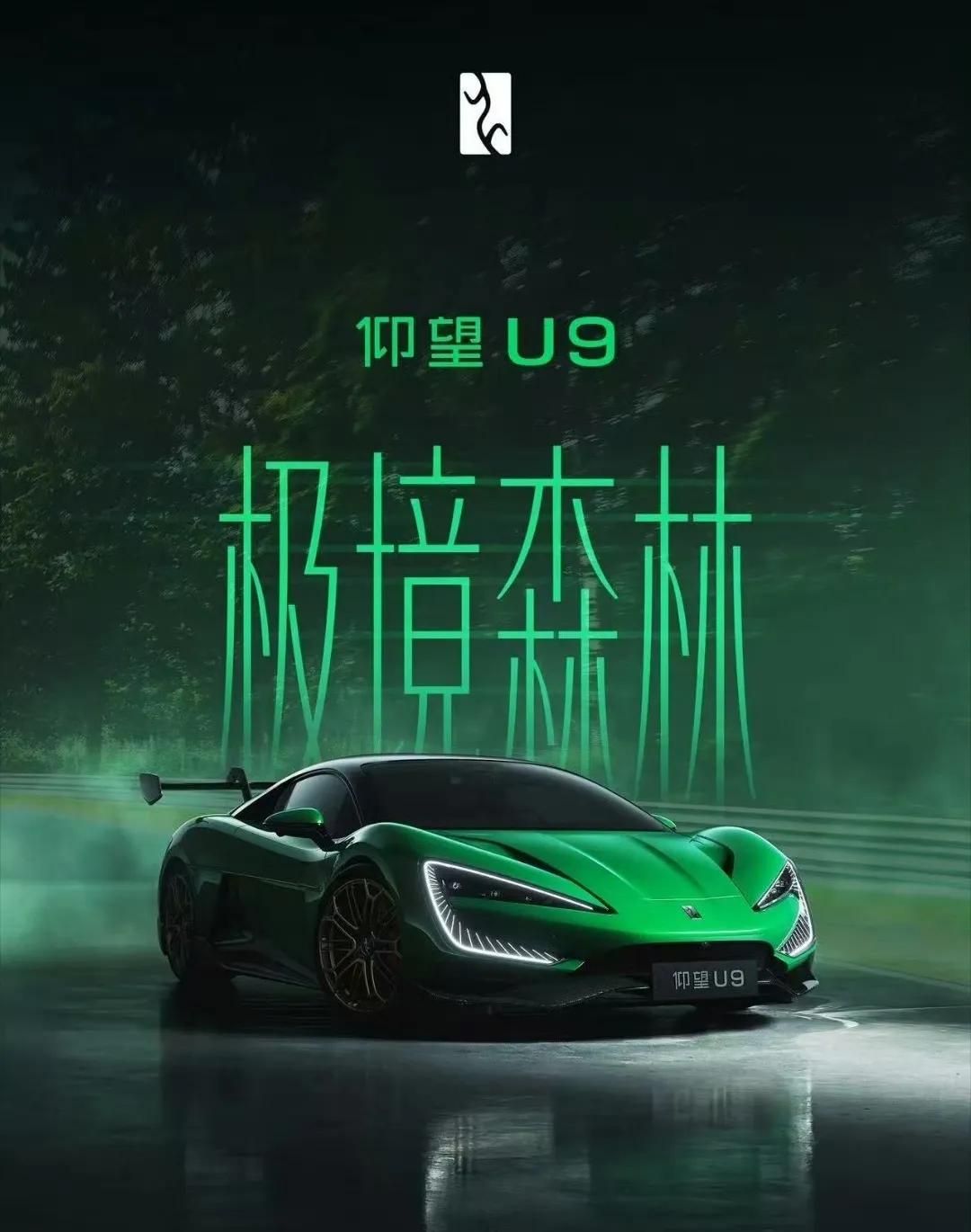 不得不佩服比亚迪，这设计太有个性了，这前脸像不像热带雨林的绿箭蛙，内饰又这么科幻