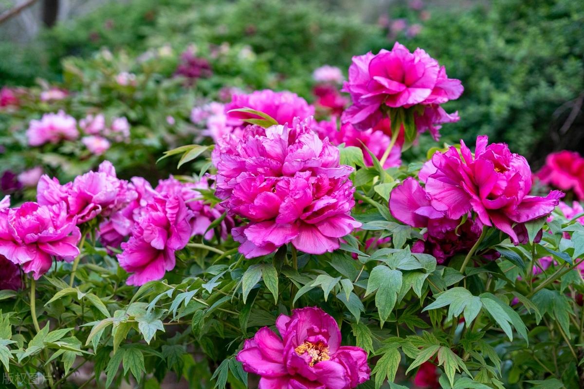 人生没有白费的努力，也没有碰巧的成功。我们的生命里，藏着我们读过的书、走过的路、