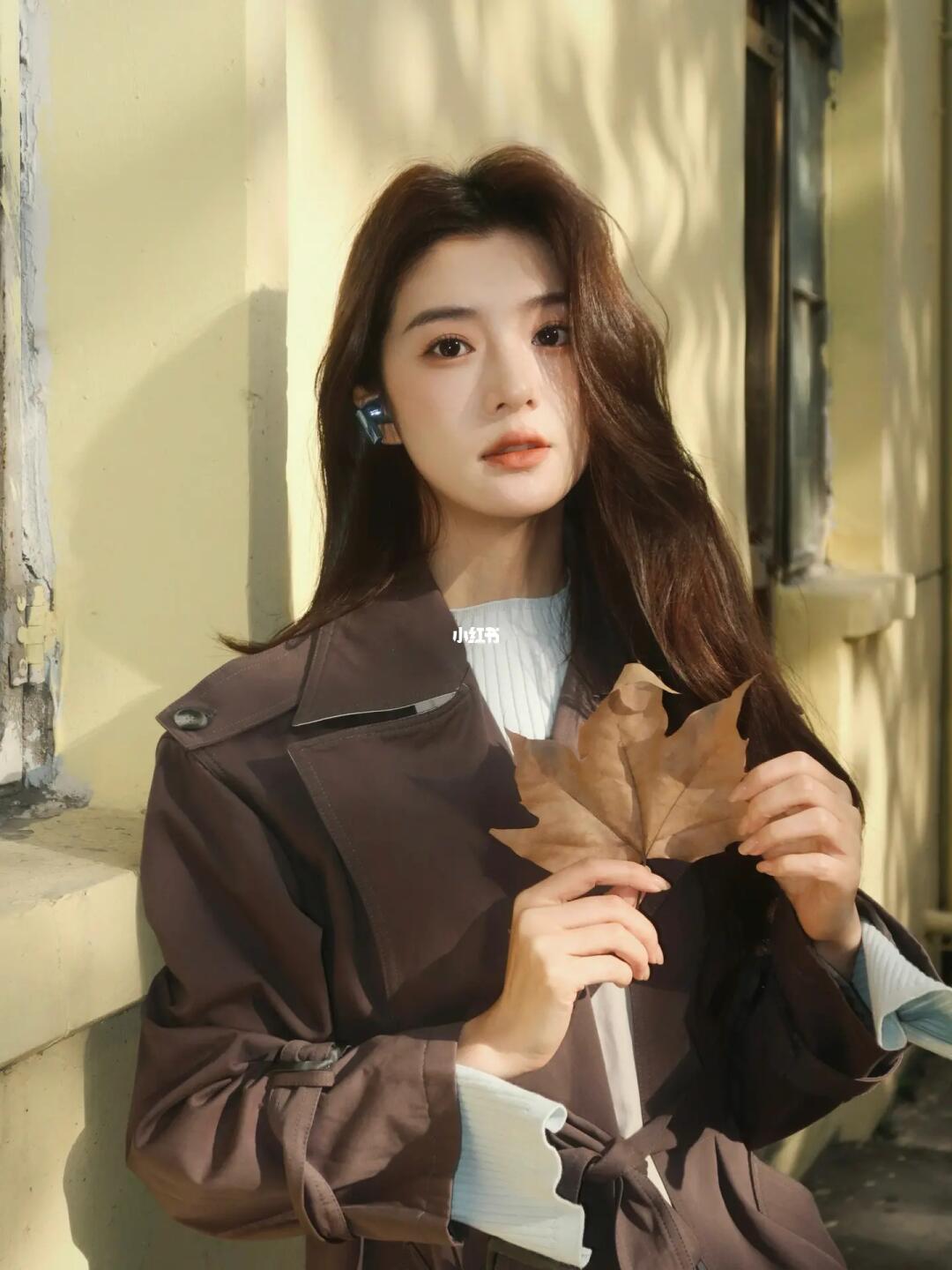 听枫叶落下的声音