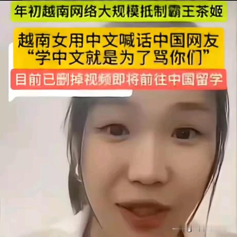 学中文就是为了骂中国人，这个越南女人怎么混进武汉大学留学的？难道武汉大学不审查这
