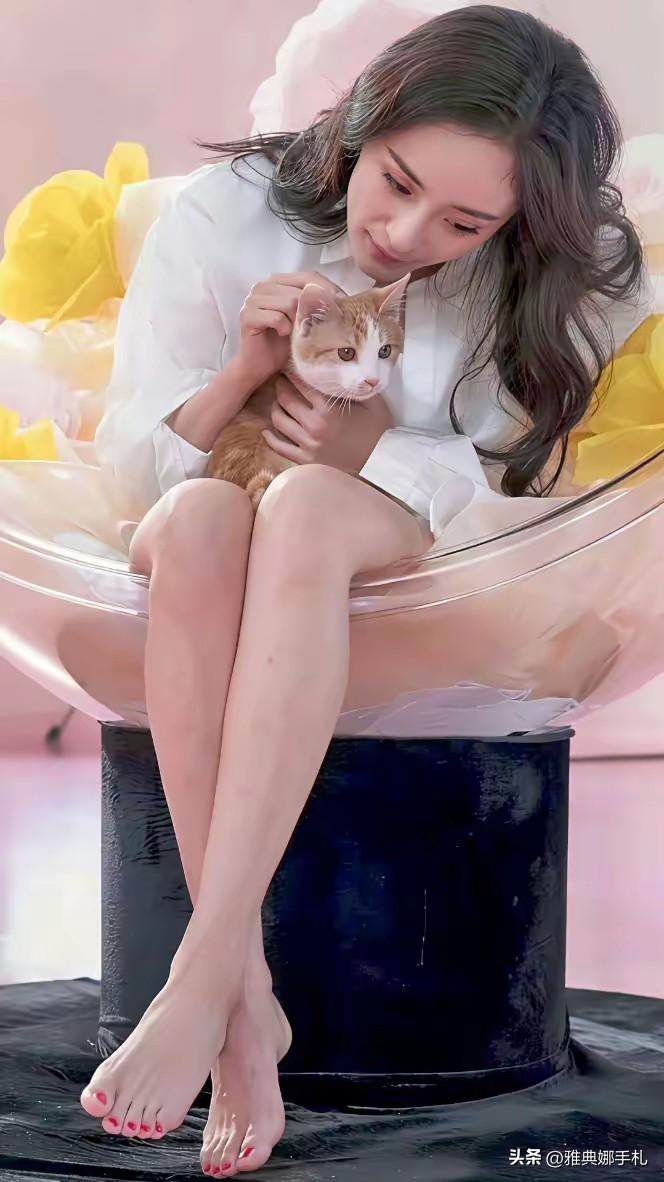 咋看像他幂姐……
这小猫还不愿意被抱着，真是身在福中不知福啊！