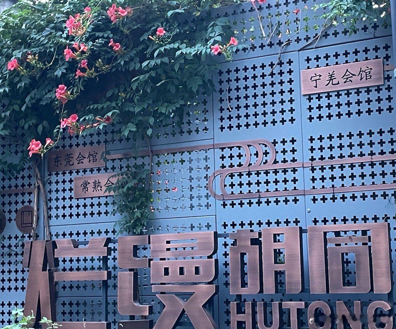 来自北京夏日的烂缦 摄影​​​