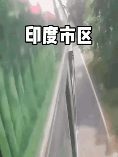 幸亏有他，成功避免了一场两车相撞事故……[捂脸]