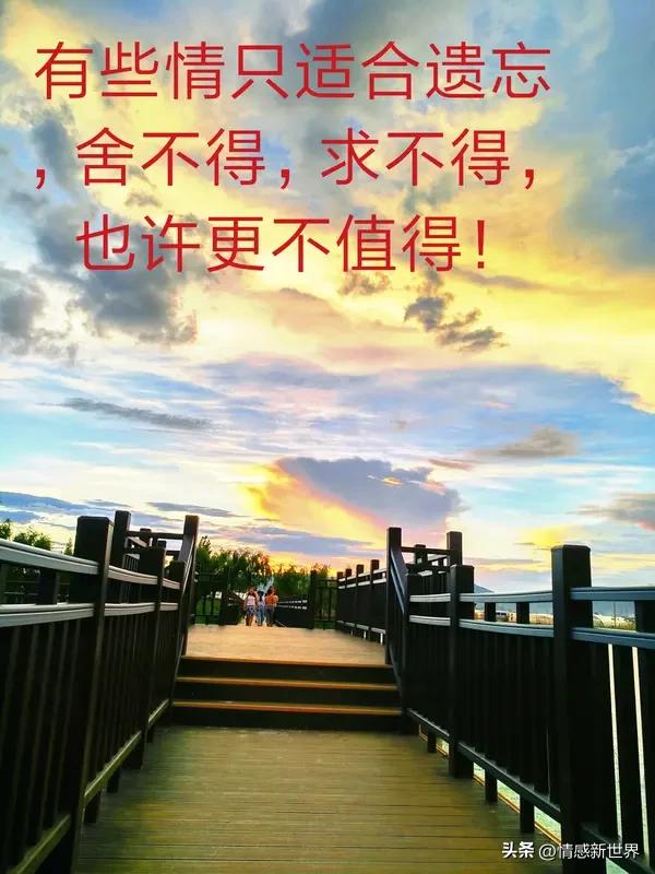 一个爱你的人会舍得不联系你吗？我觉得大概率是不会的。爱一个人，那种想念就像潮水，