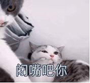 99年的不是吗？刘宇宁录综艺花絮都敢说咋就没人截那段出来呢？天天断章取义直播的话