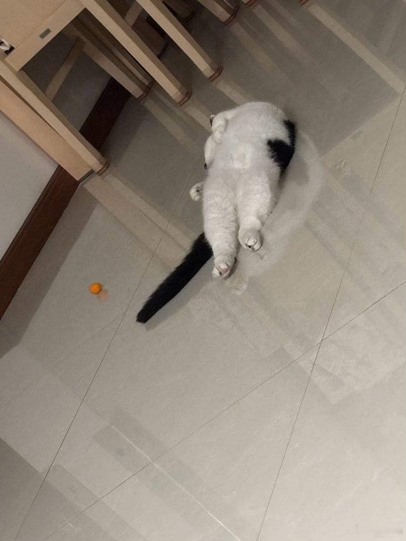 晚安💤 