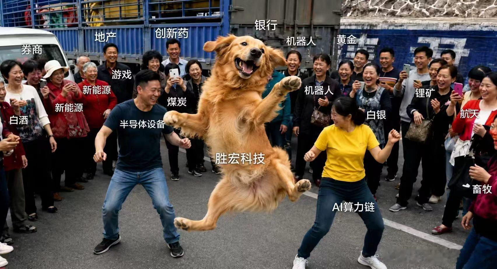 起飞了 