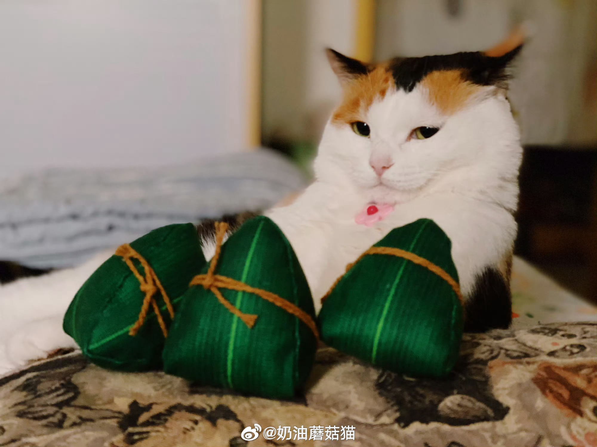 端午节最后两分钟～花大妞给大家送粽子啦！！！（今天出去逛一天，累哭我了）端午节