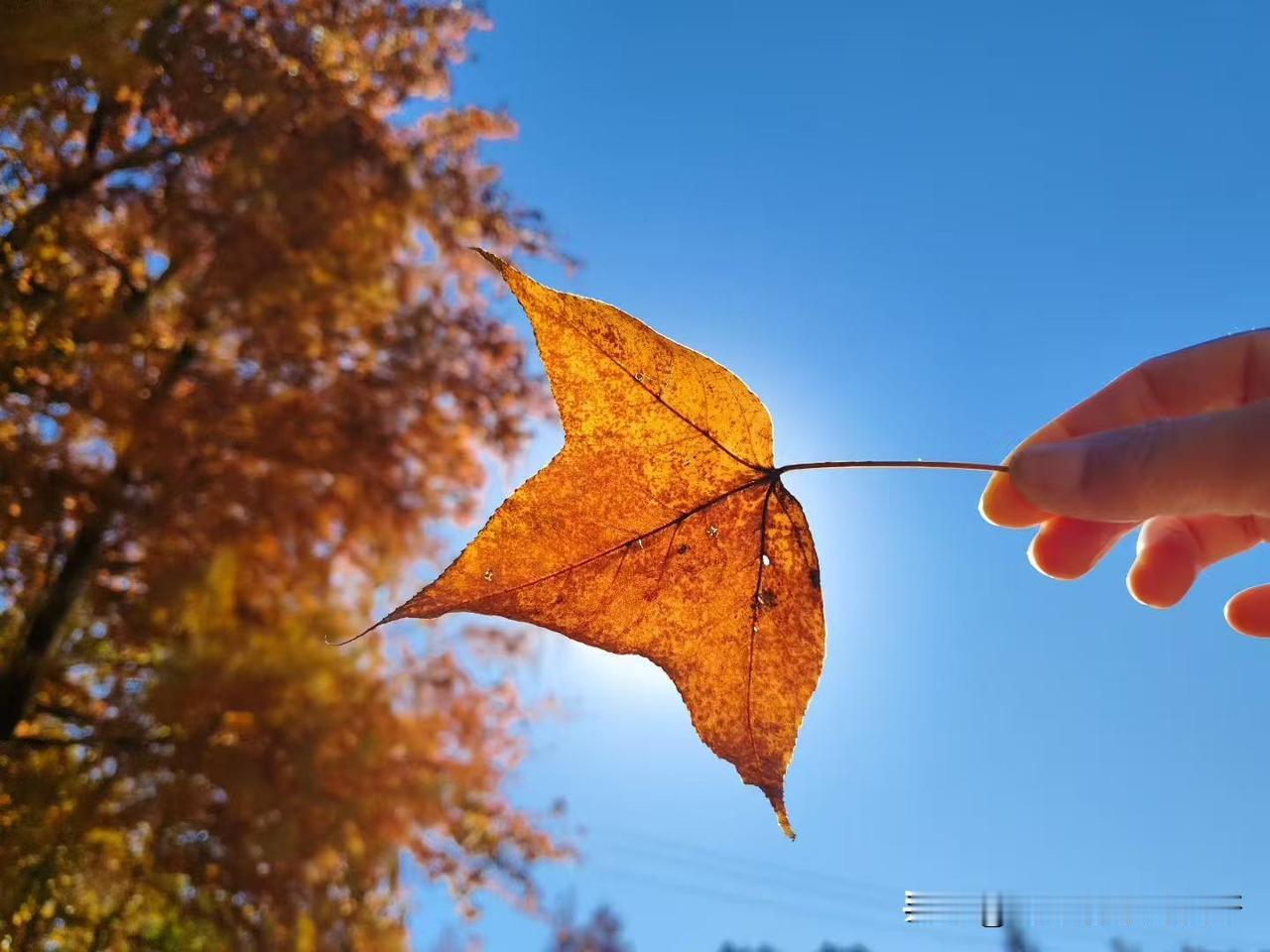 昨天断更了，老板出差回来了，工作忙就没空写，下班太累了也不想写。

我突然冒出来