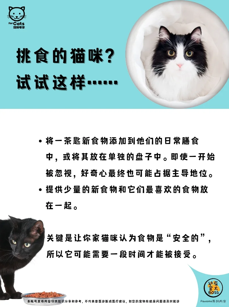 挑食的猫咪? 试试这样…