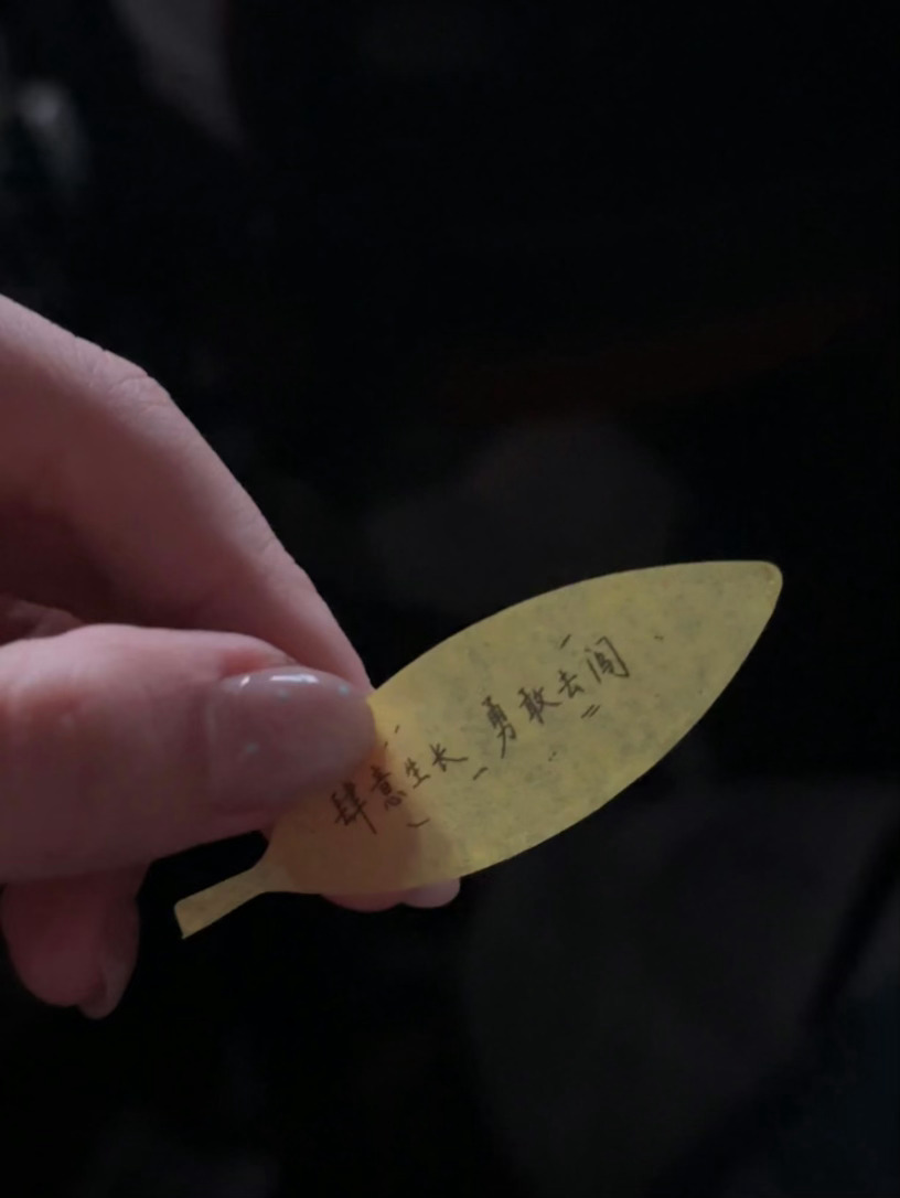 王俊凯彩带是重庆市树这个王俊凯太浪漫了吧！！ 