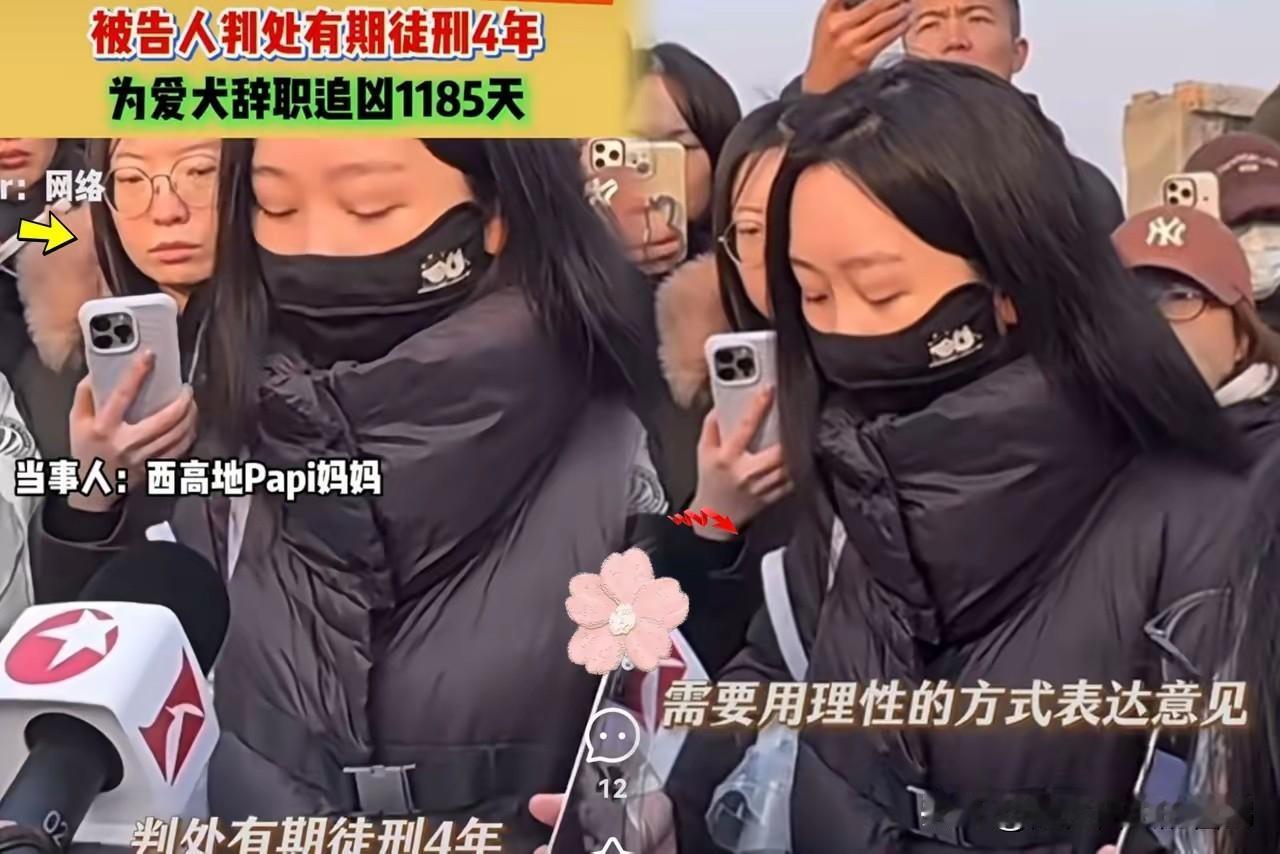 李女士刚刚赢了一场官司，
就迫不及待地养了新狗。显然是想用新狗来发泄一下心中的不