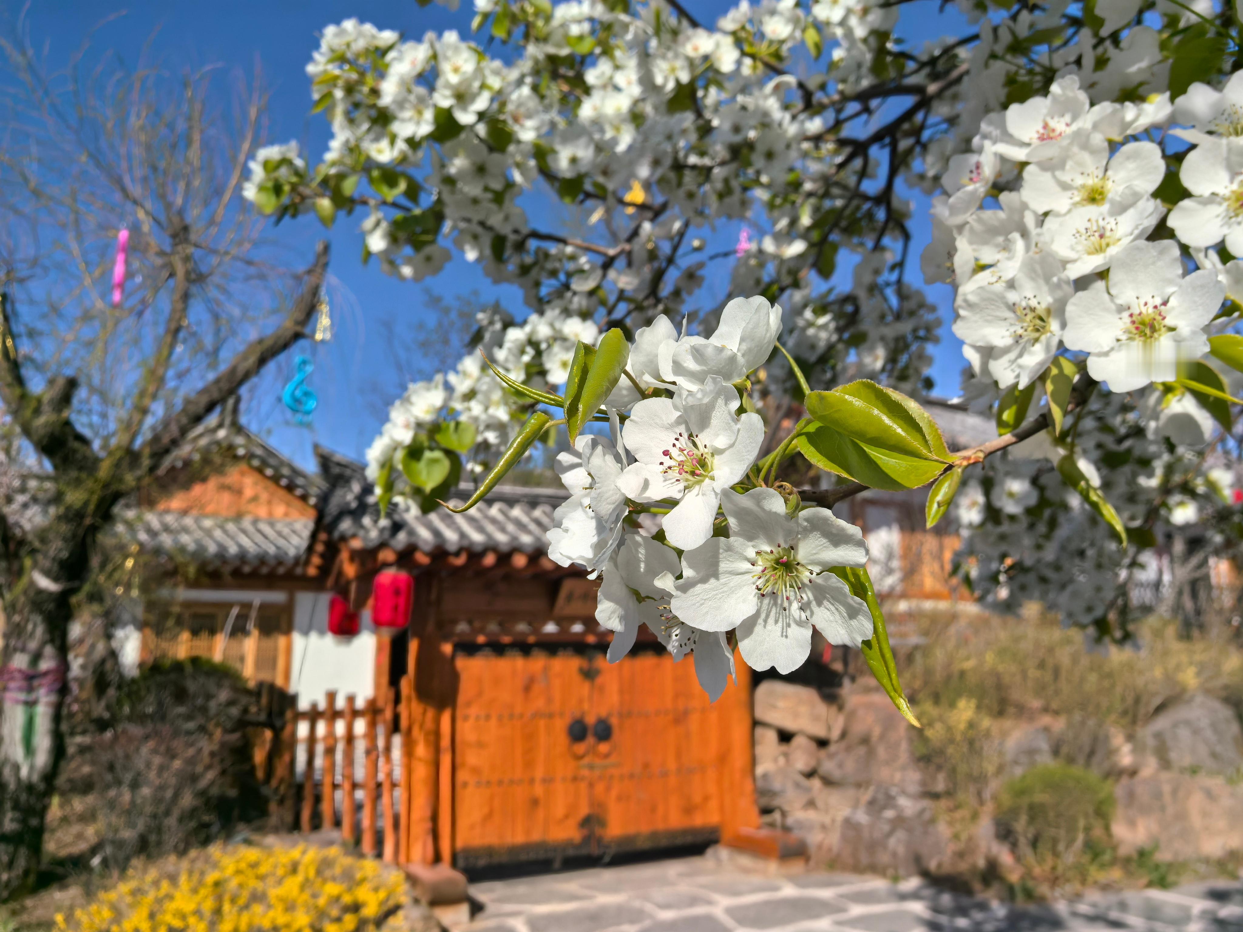 来延边龙井市的琵岩山温泉古村落，体验真正的“温泉蓝宝石”！这里拥有地下2510米