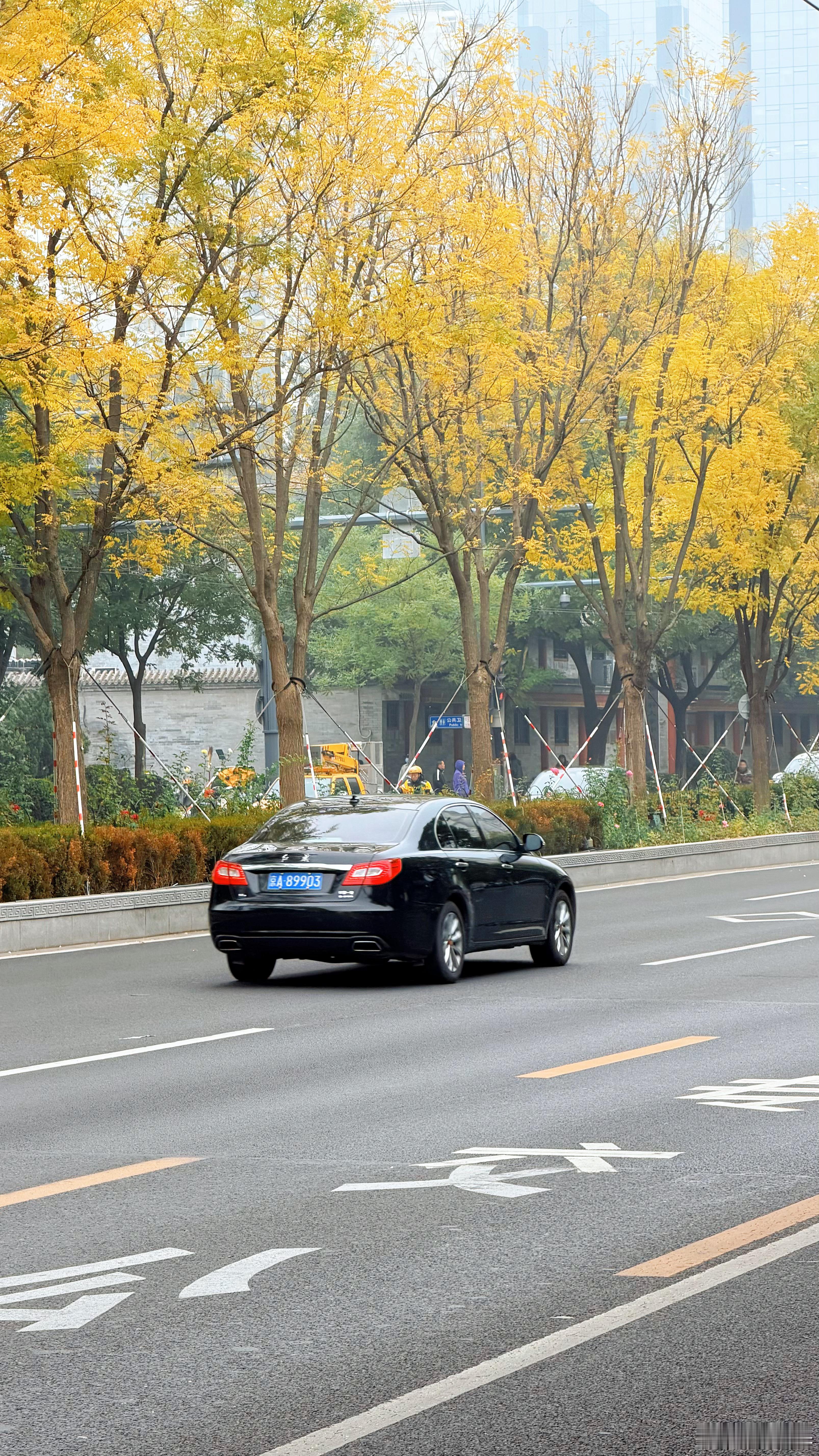 北京秋天怎么这么美不去网红打卡点，北京的秋色大街随手一拍都很美！ ​​​