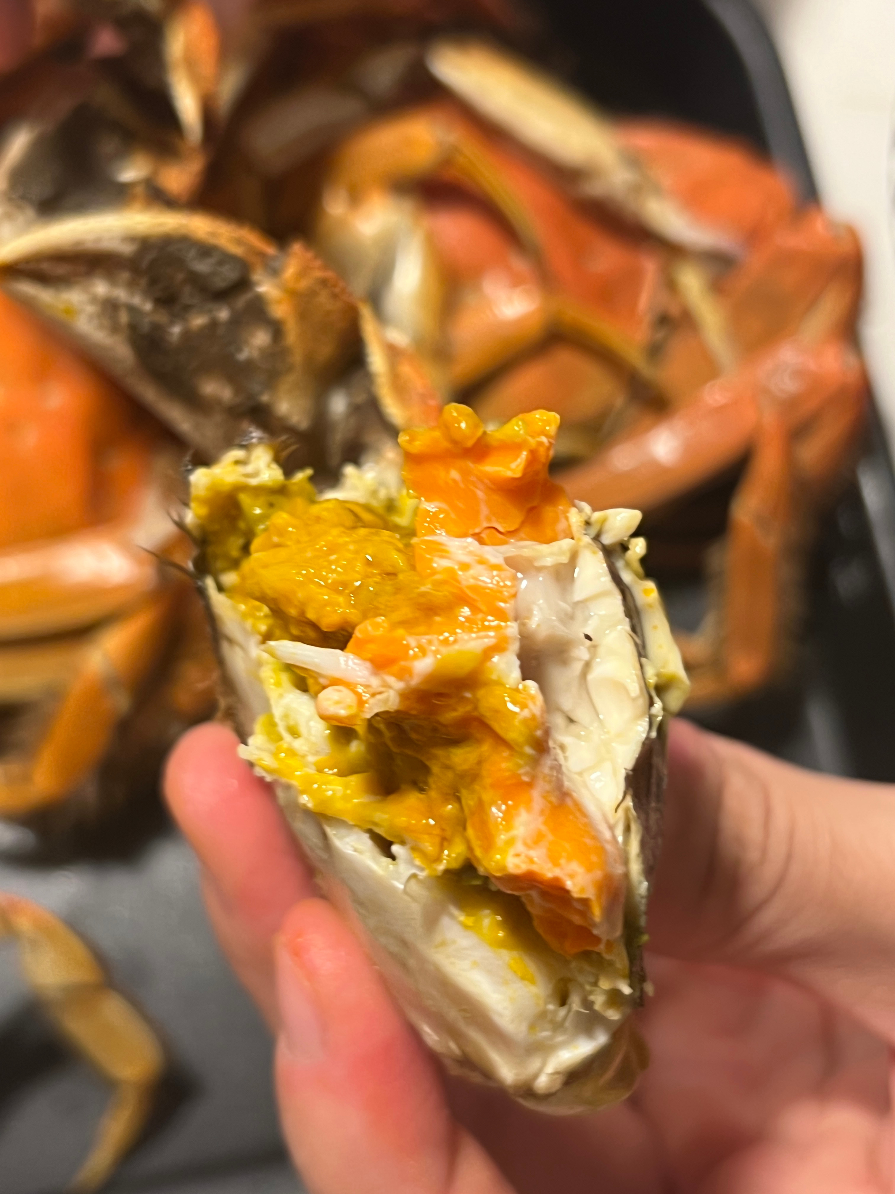 1. 有没有人和我一样爱吃螃蟹但是不会剥的2. 带小狗出门练胆被夸夸啦3. 傻d