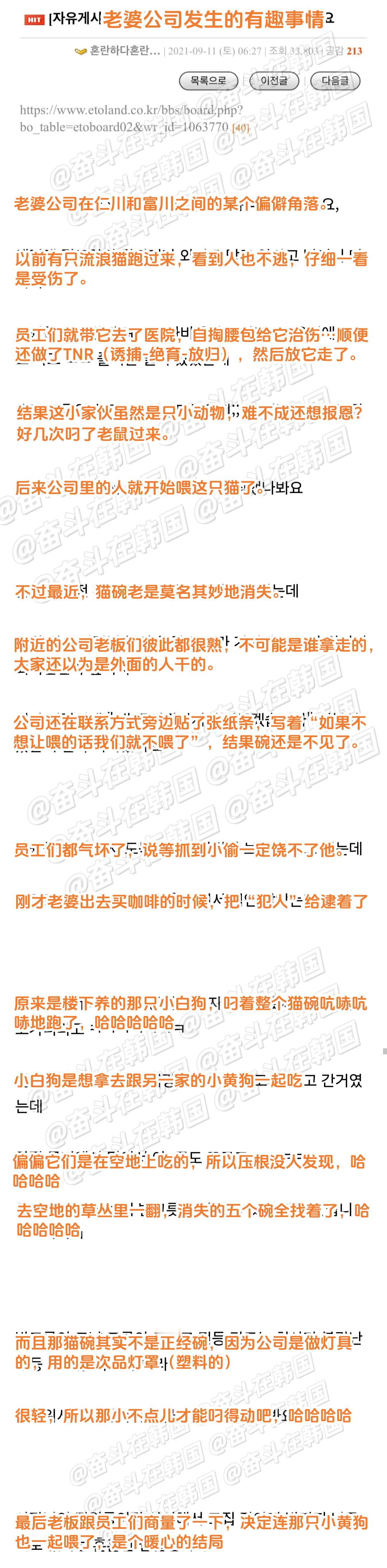 妻子公司在喂流浪猫，但猫碗总是消失的原因...海外新鲜事 热点现场 太好了！是暖