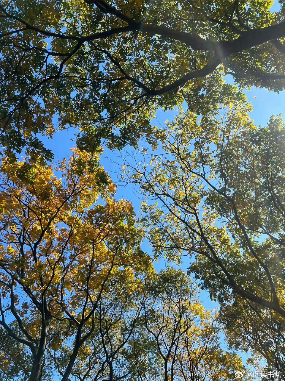正因为不能称心如意，人世才有意思。——《海边的卡夫卡》 