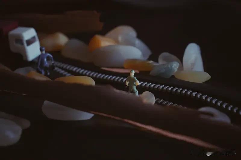 人生恰似一场挑战重重的旅程，苦难如坑洼的乡间土路，摔跤磕碰难以避免。真正的强者，