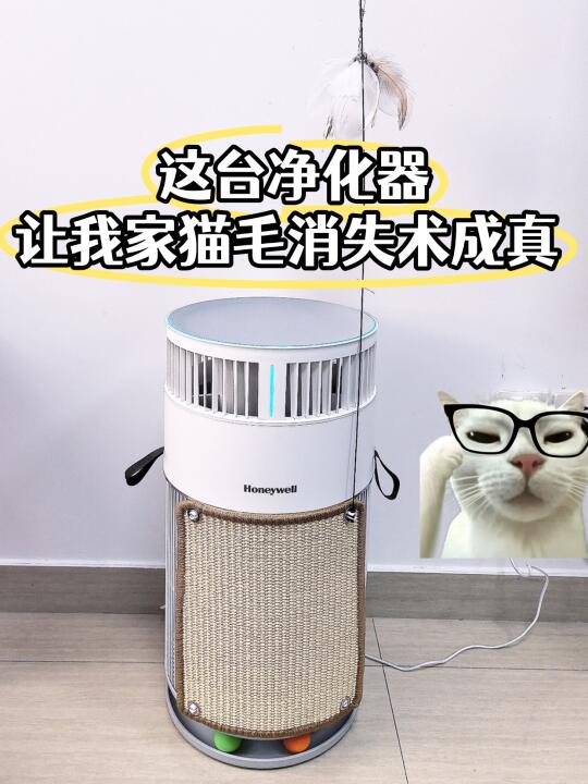 这台净化器让我家猫毛消失术成真😱