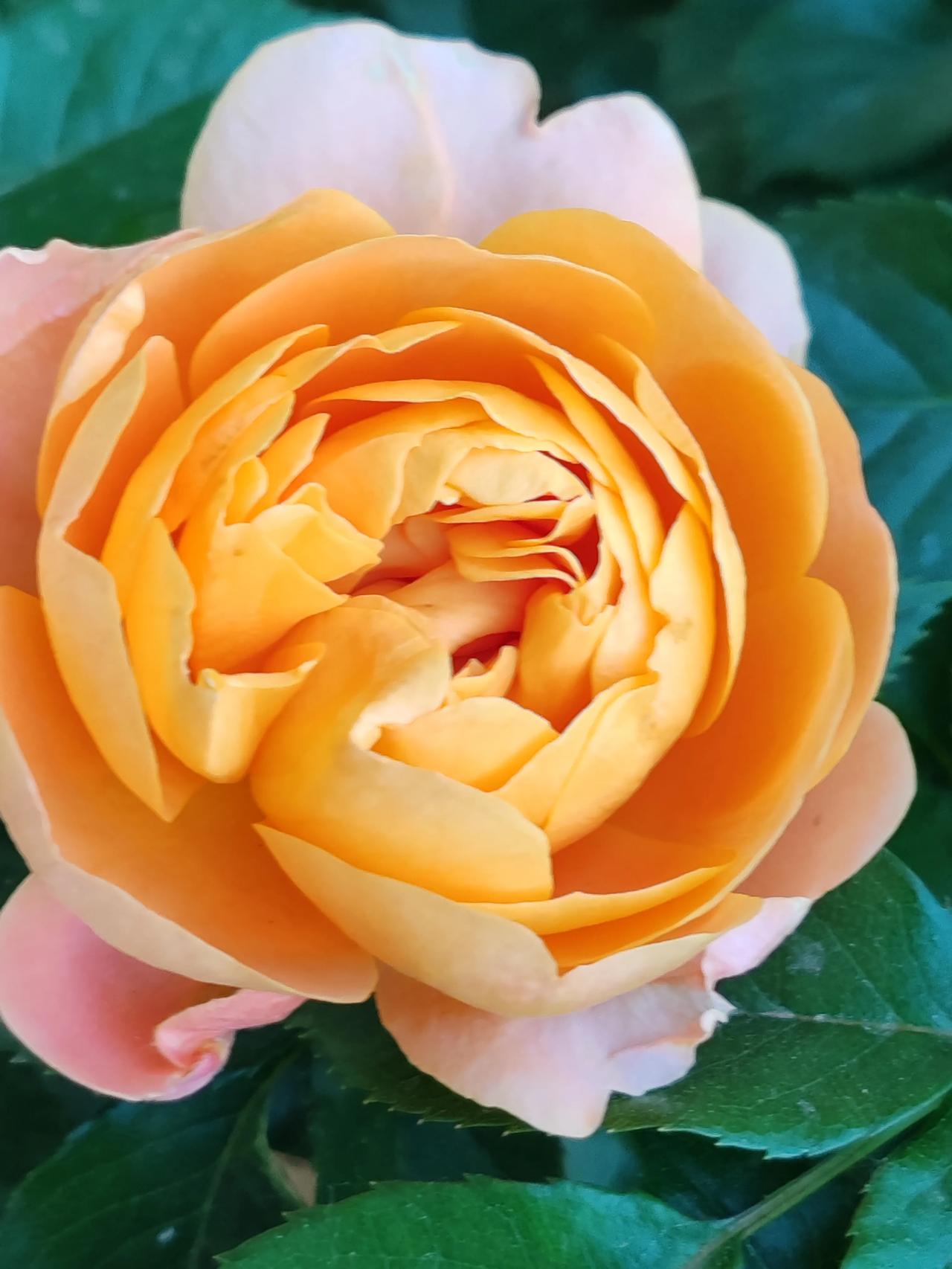 晒图笔记大赛随走随拍，见美就拍，养眼即拍。