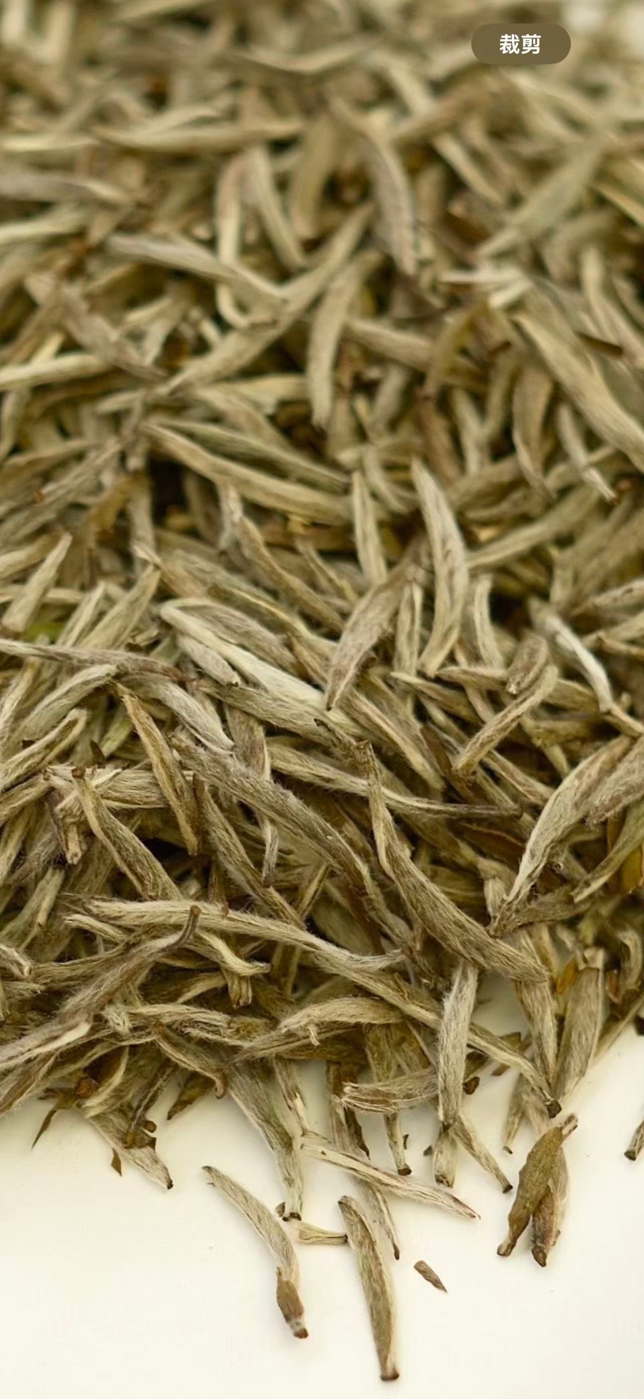 茶至七分，留三分余韵；人生亦然，留几分从容。并非所有花都开在春天，并非所有光都来