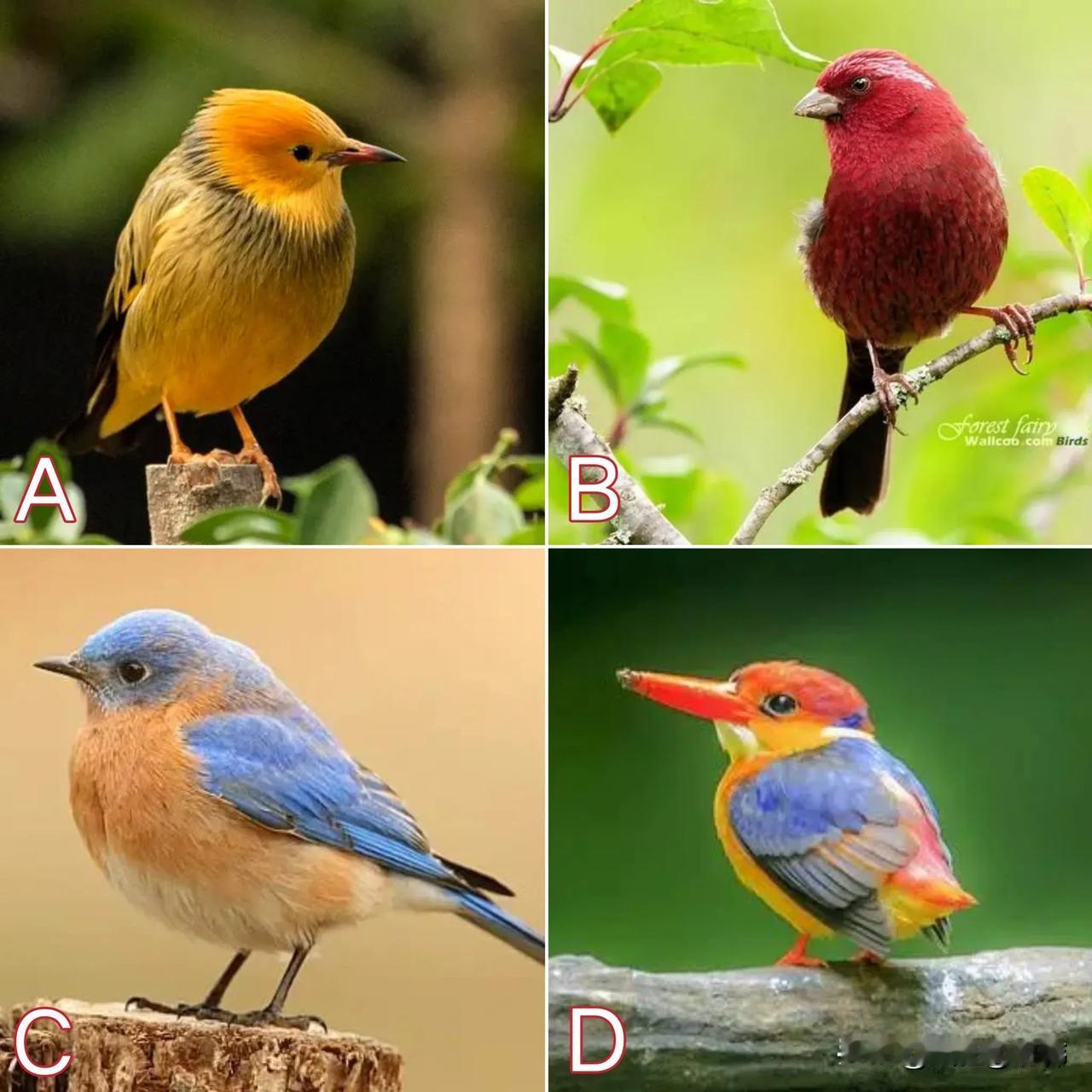 老了靠谁？看这图就明白了！老了怎么办？看这张图你就懂！猜猜看，咱们老年后的依靠是