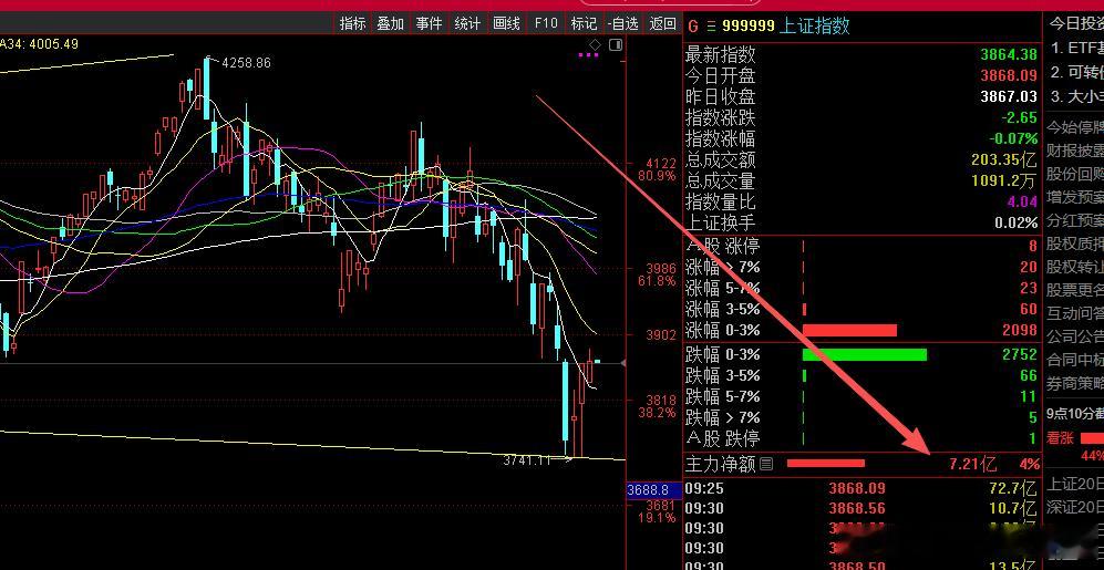 盯紧大盘资金，也盯紧个股资金$上证指数 sh000001$ 