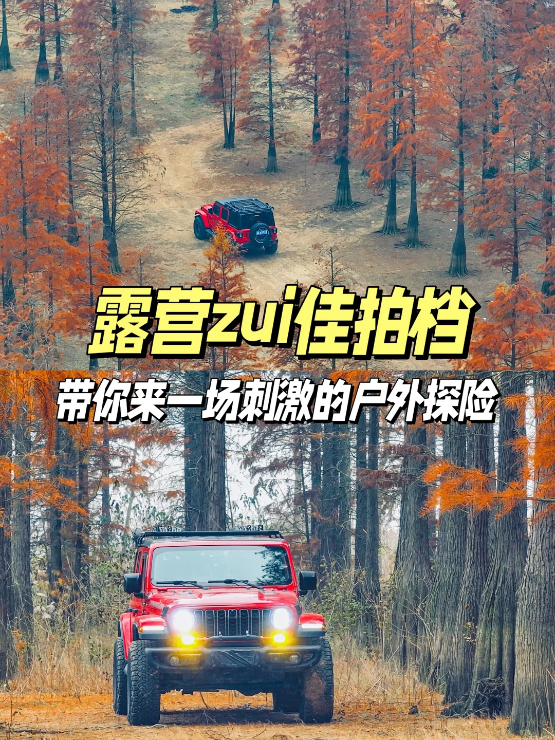 露营的zui佳拍档，牧马人越野在冬林山野间❗