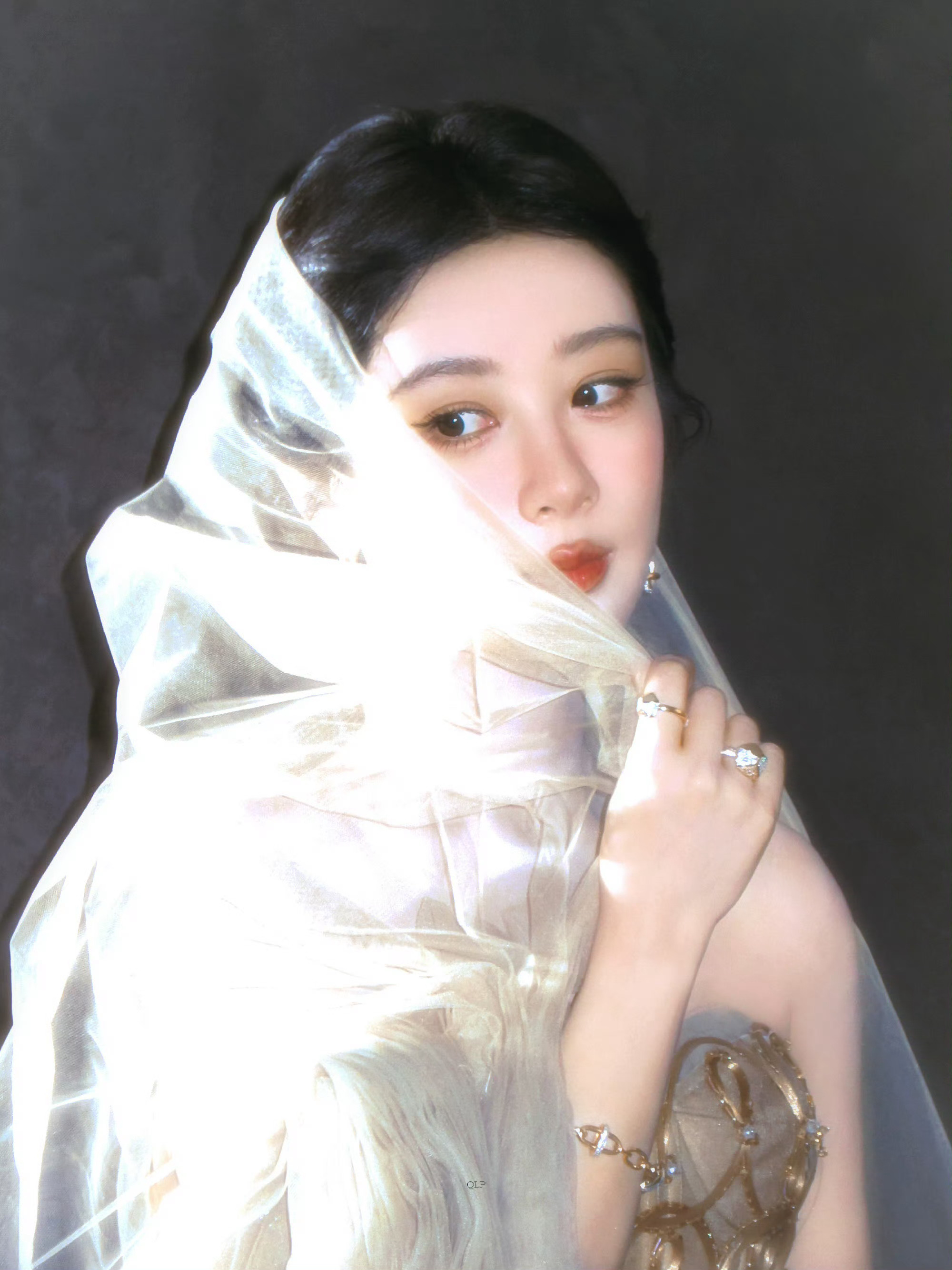 完全神女杨紫董竹君 yz杨紫玉兰花开君再来 清鲤洀老师修的 