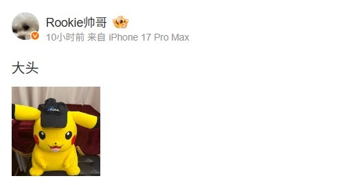 Rookie分享皮卡丘玩偶：大头
