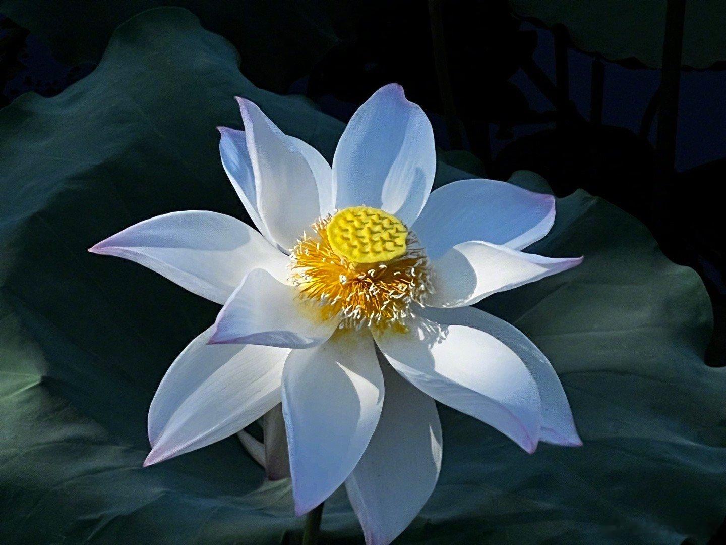 刚刚去ICU看一个病人，昨晚骑电动车汽车相撞受伤。最关键的问题是，他没有带头盔，