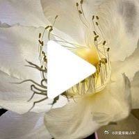 【戴占军】【我家花木艳秋时】    （使用App创作）养花花卉秋手机摄影 ​​​