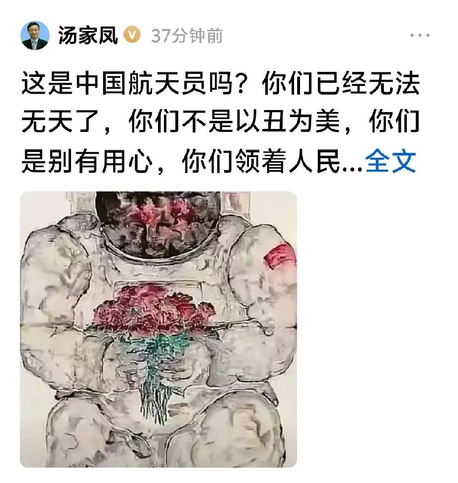 汤家凤再开炮：这是中国航天员吗？你们领着人民的俸禄，在丑化英雄人物！！虽然没指名