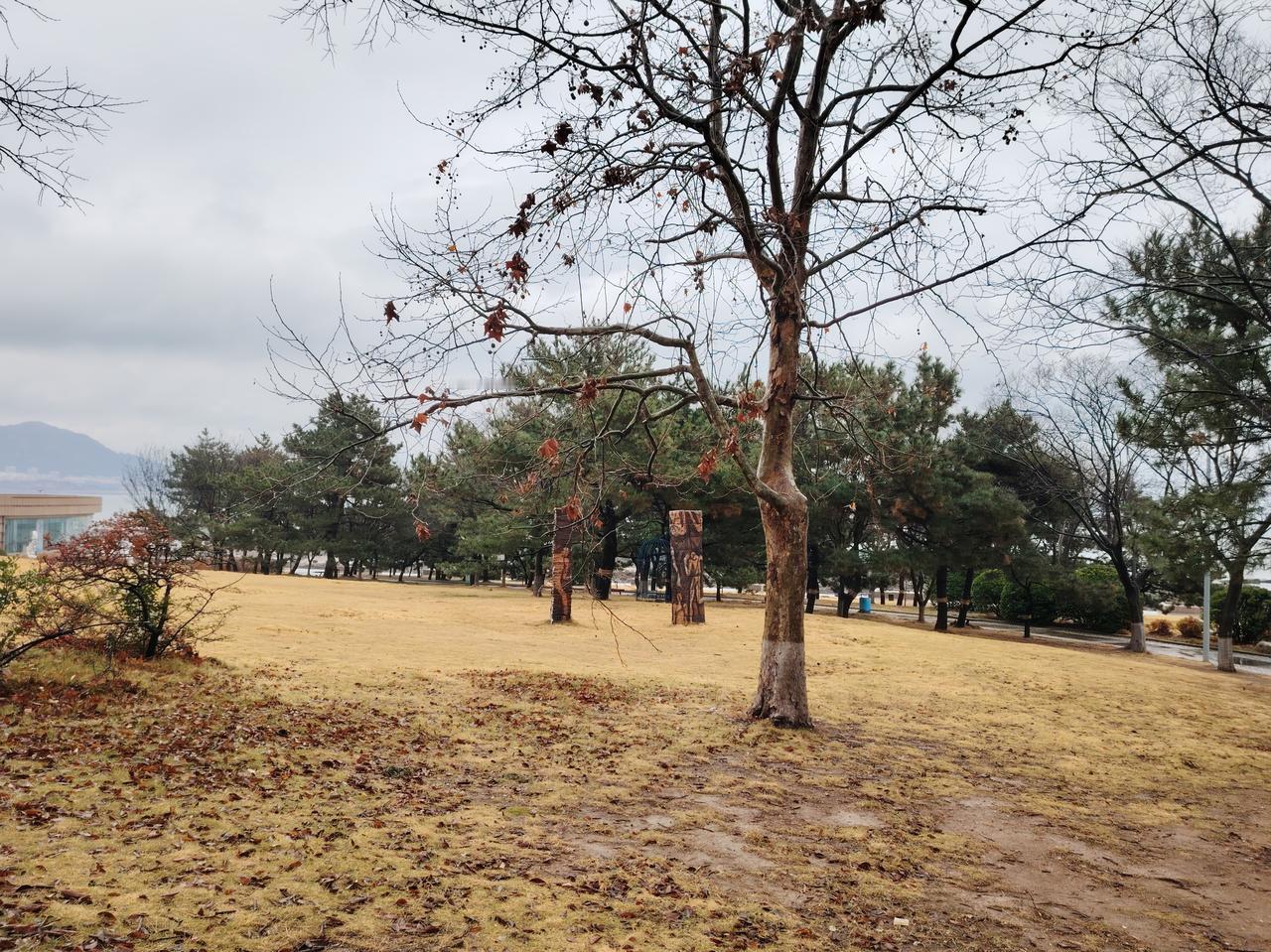 冬日雨后的小清新