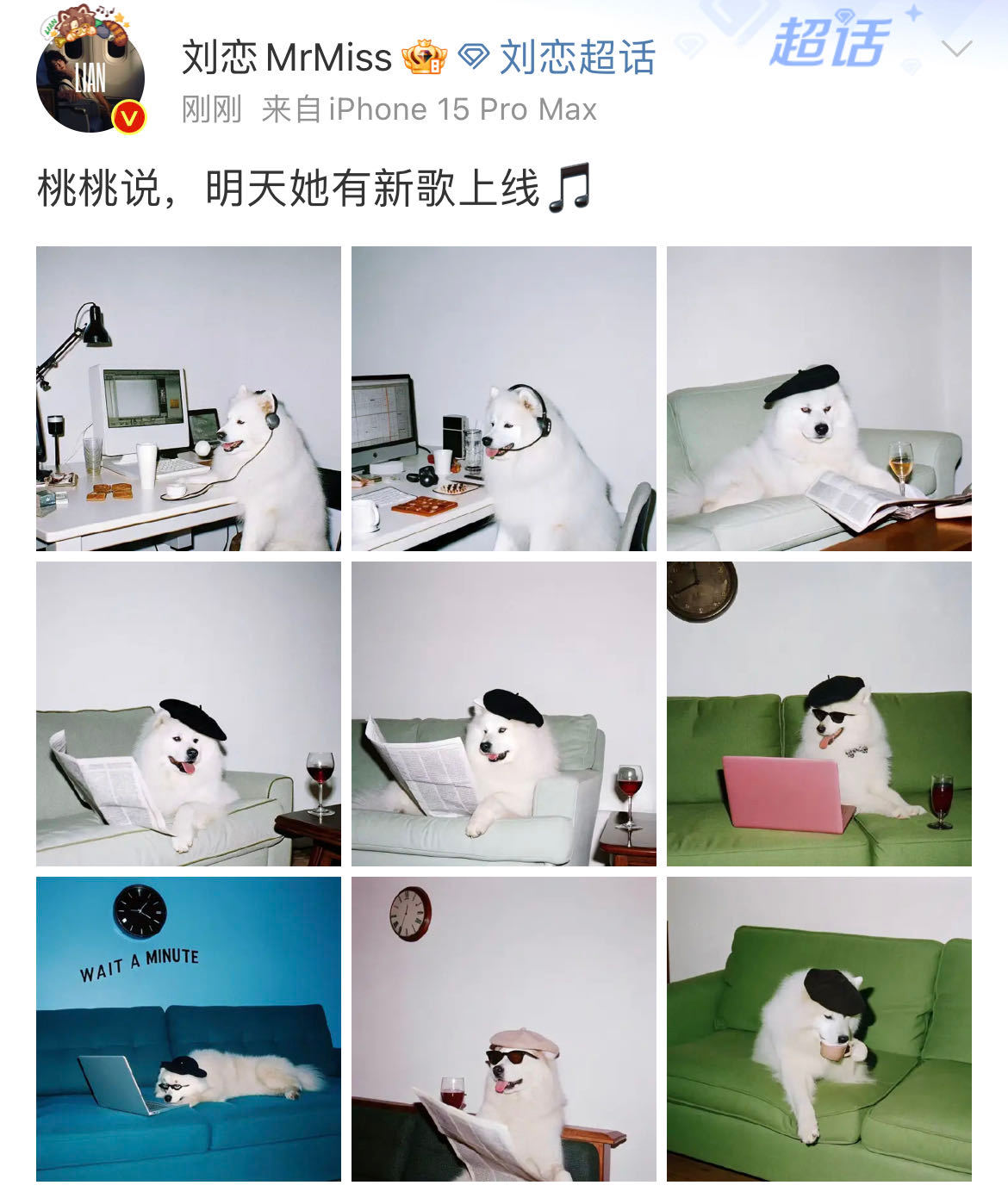 刘恋让小狗替她工作  退一万步讲！！！！这么乖的小狗不能是我的吗[可怜]桃桃是会