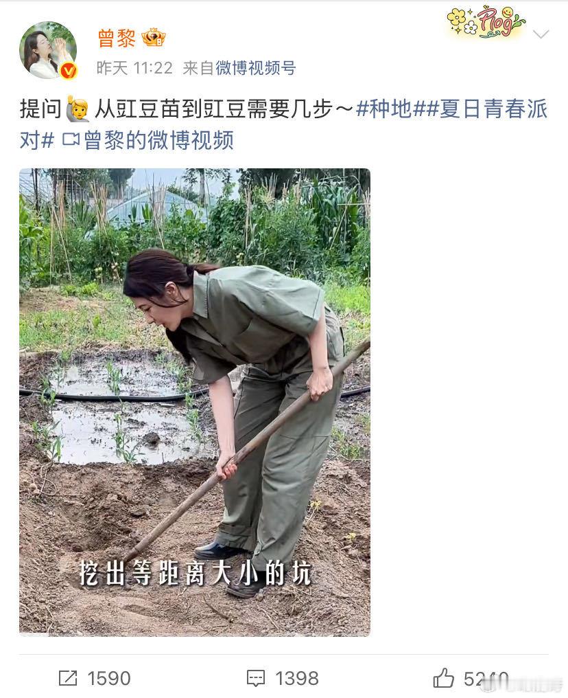 曾黎种菜收菜的过程好治愈 曾黎的小菜园宛如童话中的魔法花园，种子破土而出，嫩叶舒