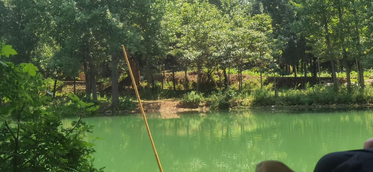 郭栋超新诗快递
《梦游》

作者  郭栋超

别说他的名字姆巴佩，
贴紧草坪聆听