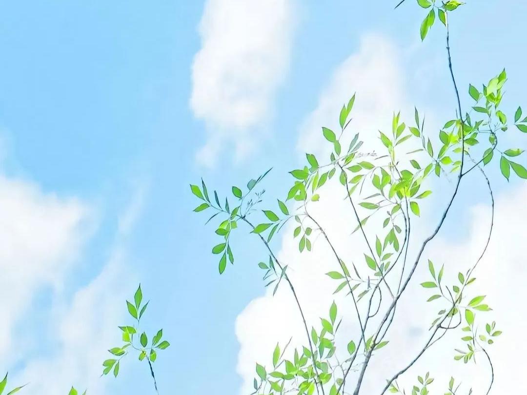 醍醐灌顶的一段话：“什么都不敢尝试的人，注定要穷一辈子，车停在家里最安全，但不是