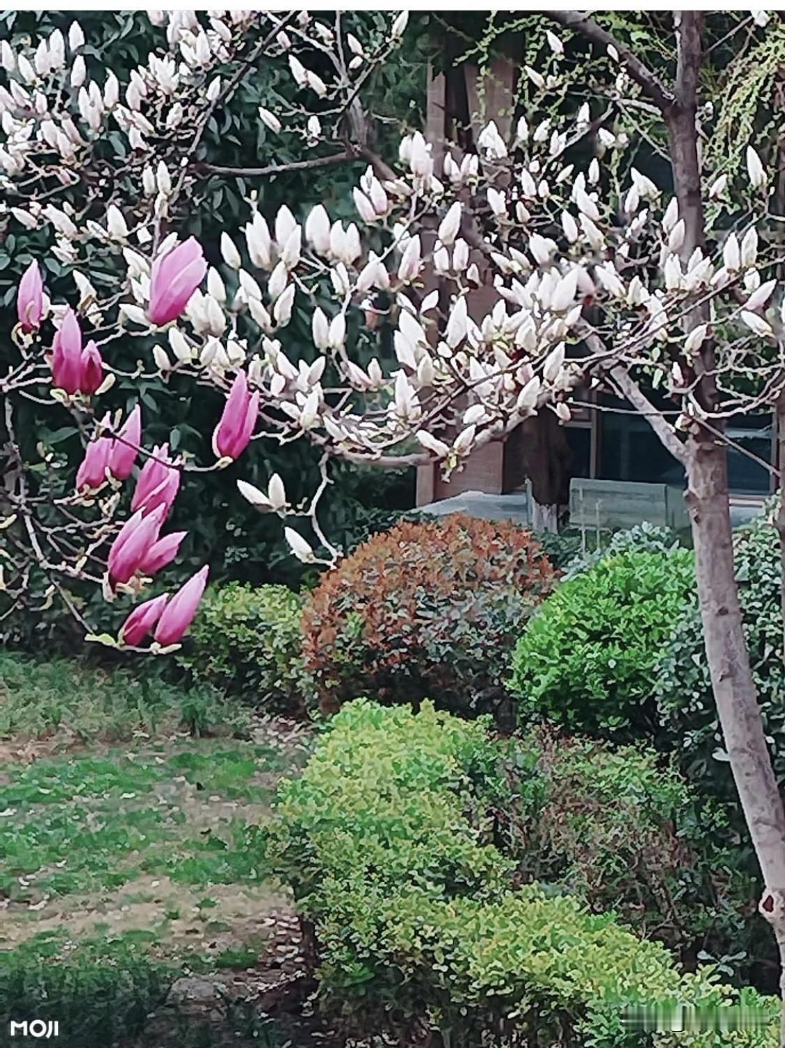 人生就像一场没有剧本的戏，我们都是自己故事里的主角。曾经以为功成名就才是圆满，拼