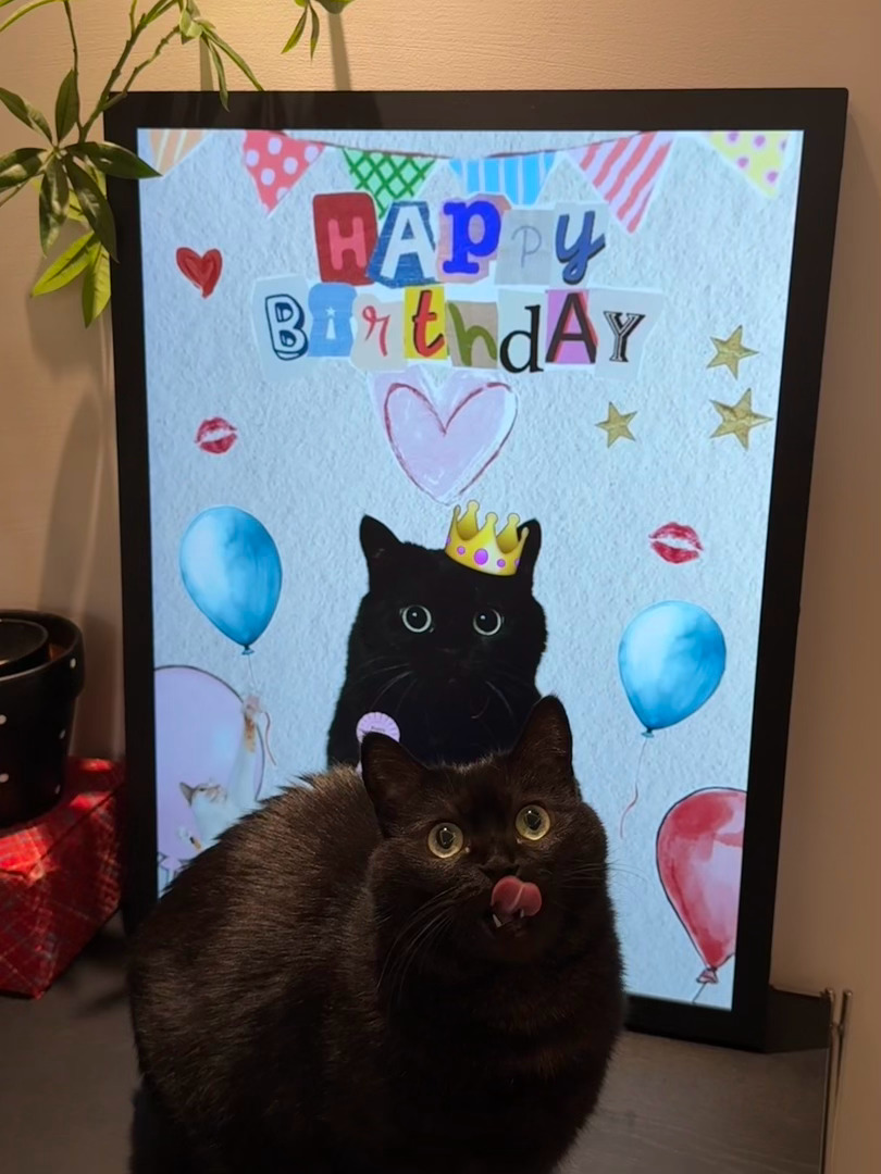 今天是个大日子！！🥳我们C++六岁啦🎂🎈🐈‍⬛ ​​​