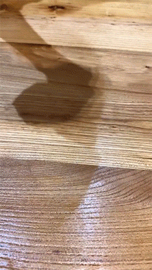 吃肉不吃蒜，快乐少一半 