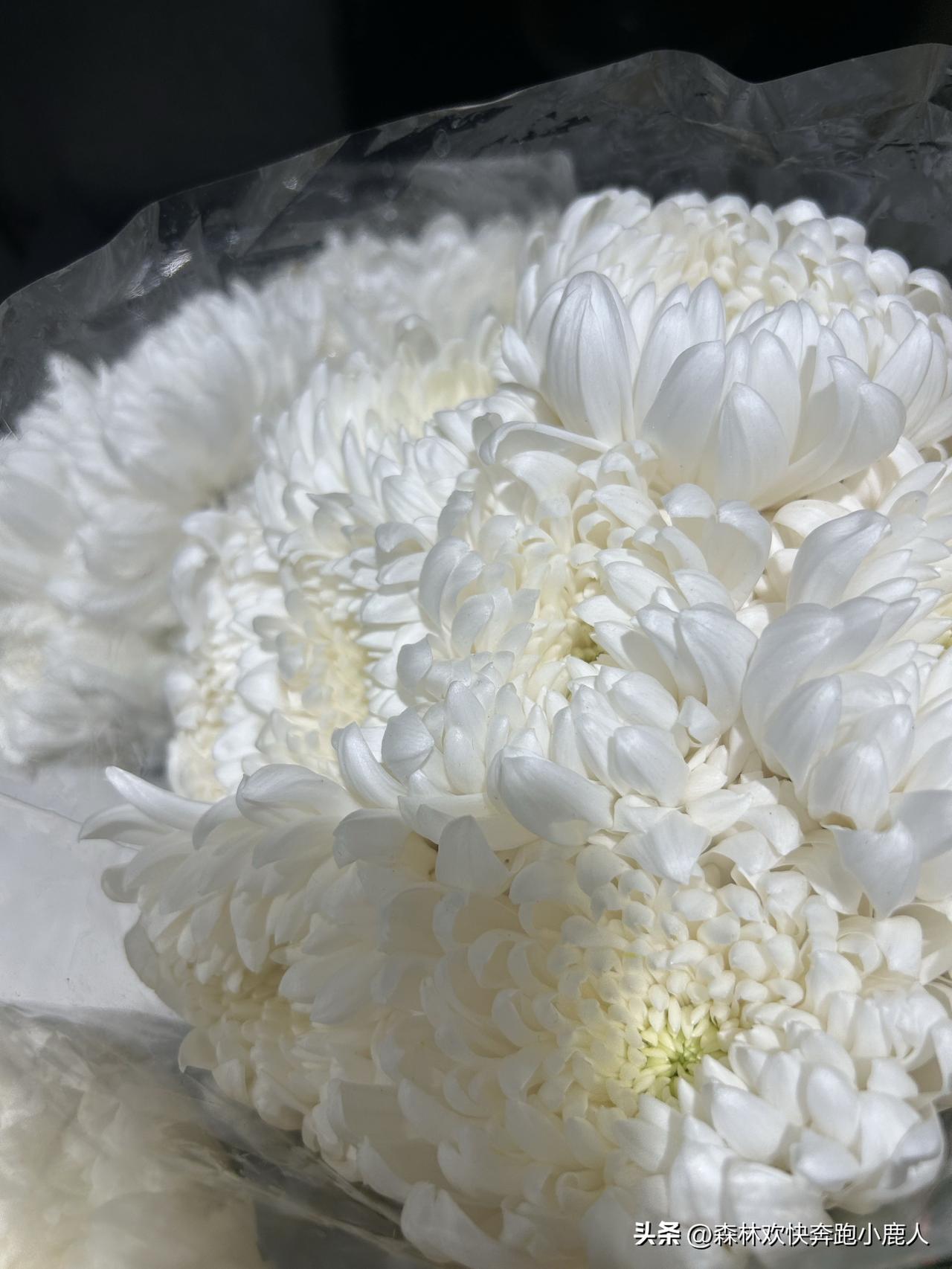 沙特会不会成为第二个伊拉克?我觉得沙特基本不可能变成第二个伊拉克，两者完全不是一