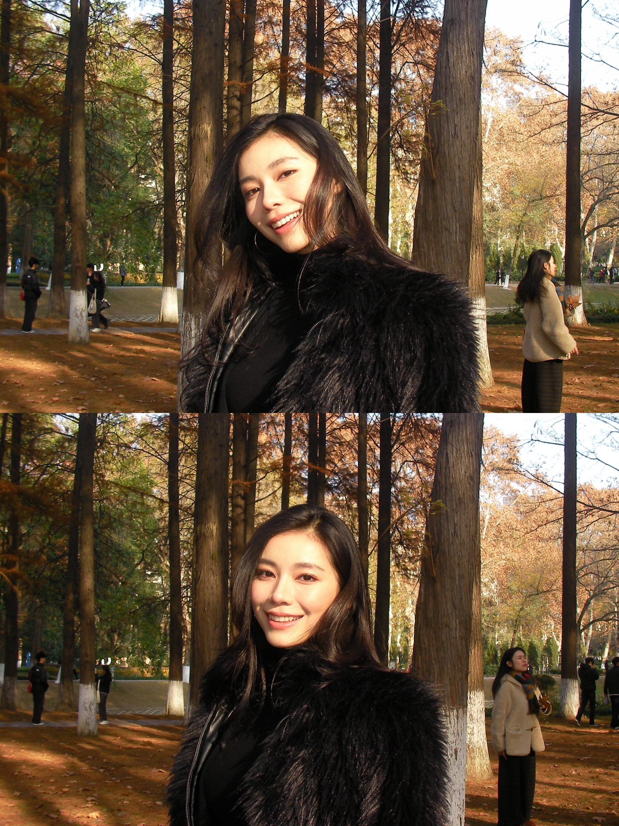 🍁 知音情缘 当了一天快乐游客