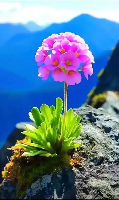 古人云，路遥知马力，日久见人心。
深以为然。
这世间最难看透的是人心，最难留住的