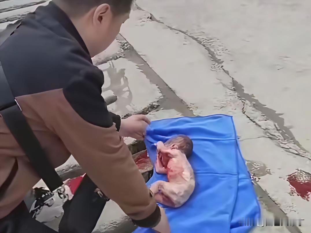 造孽啊！
这么小的孩子刚生下来的吧
就扔在马路边上
幸亏好心人看见拿衣服给包裹了