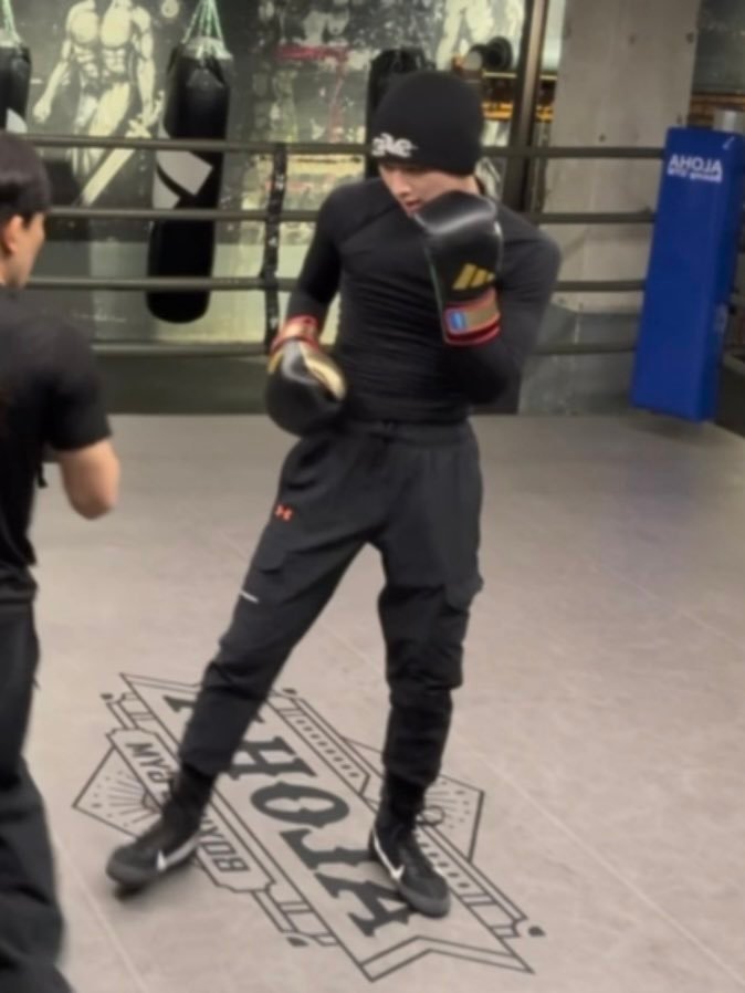 巨型猫打喵喵拳 